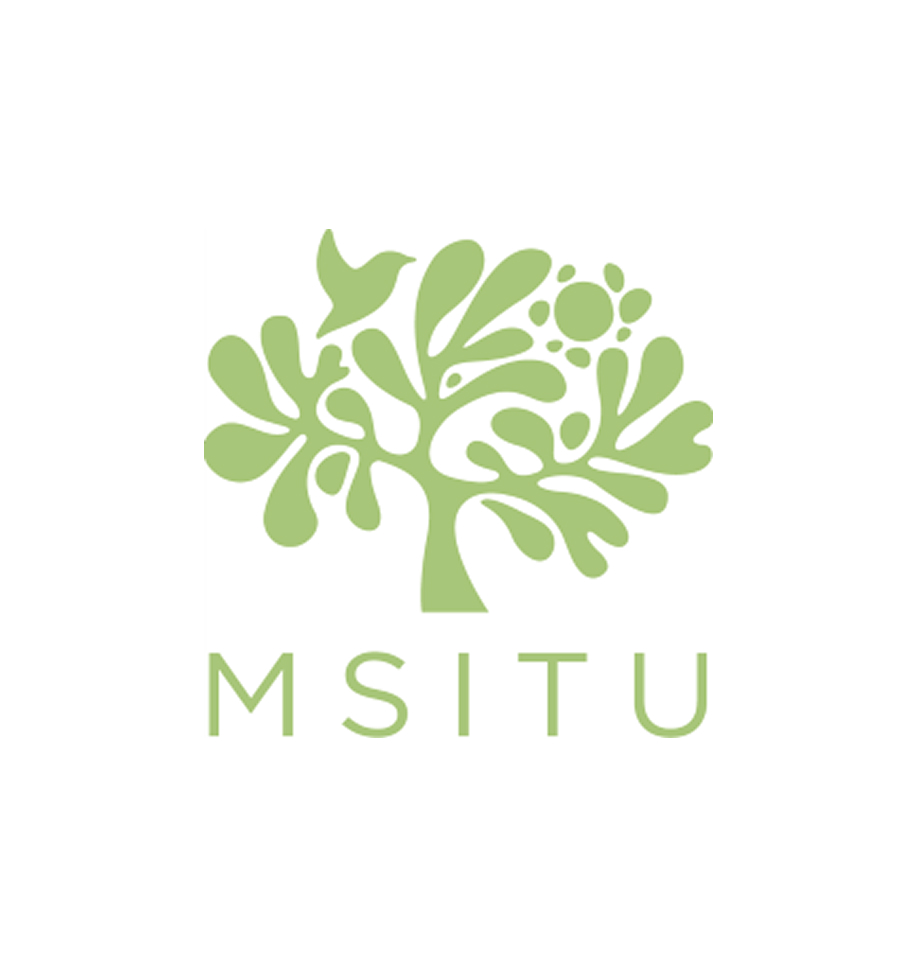 Msitu
